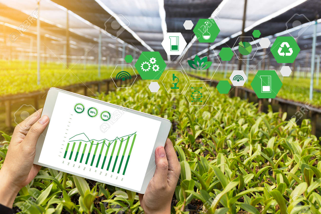 Agrônomo organizando dados de visita por pontos específicos usando tecnologia