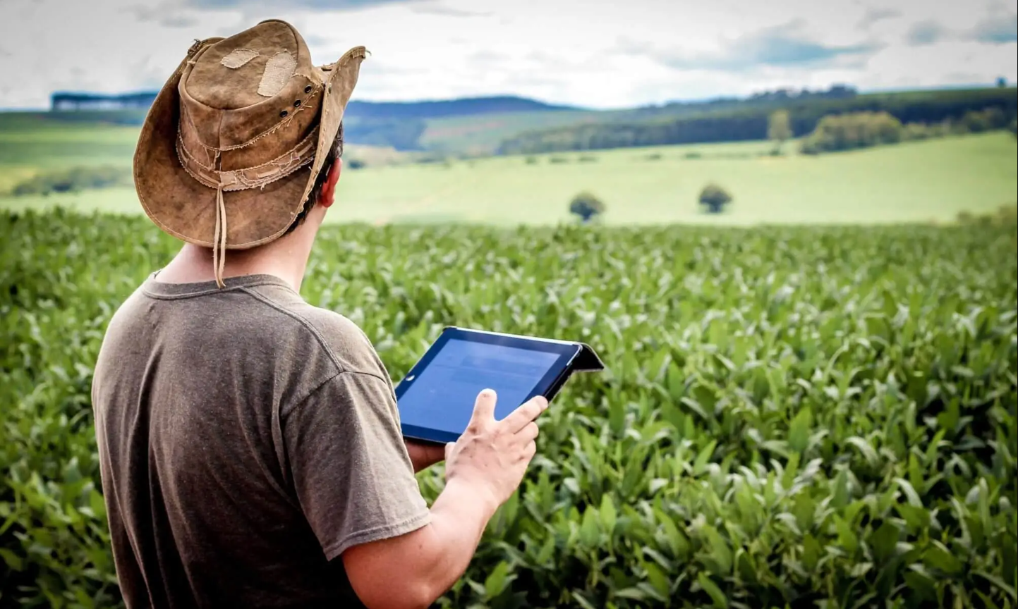 Técnico agropecuário usando tablet no campo para registrar dados da visita